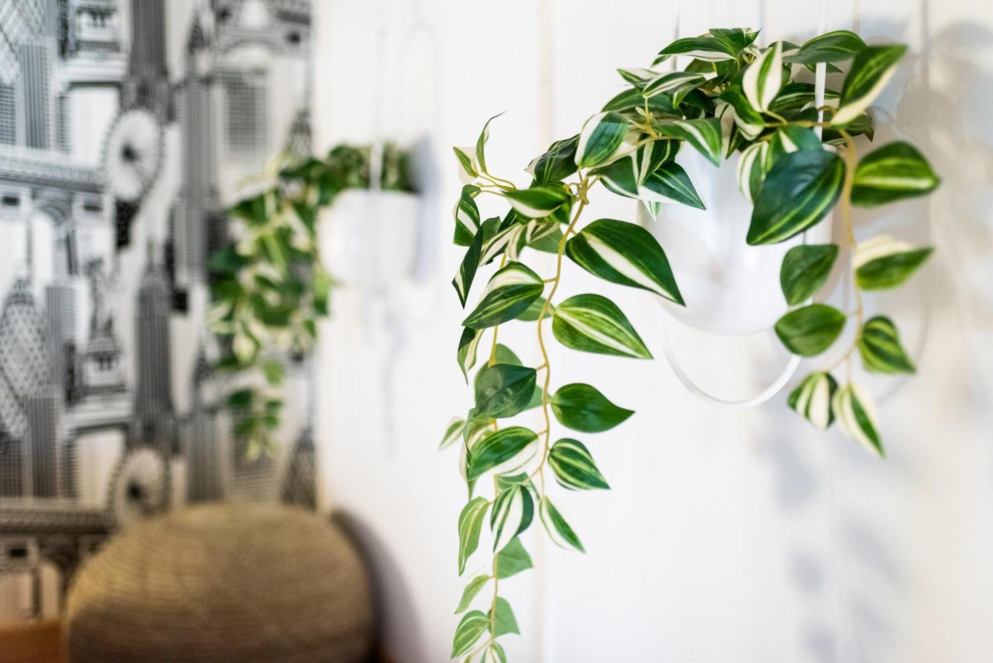 Apartamento Con Encanto, Centro Granada Exteriör bild