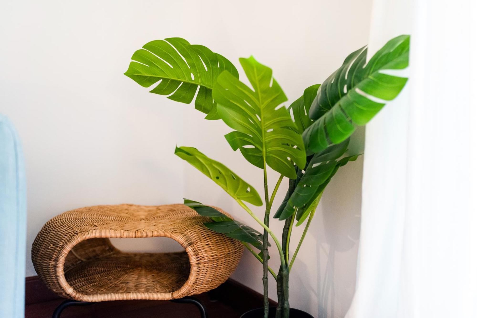 Apartamento Con Encanto, Centro Granada Exteriör bild